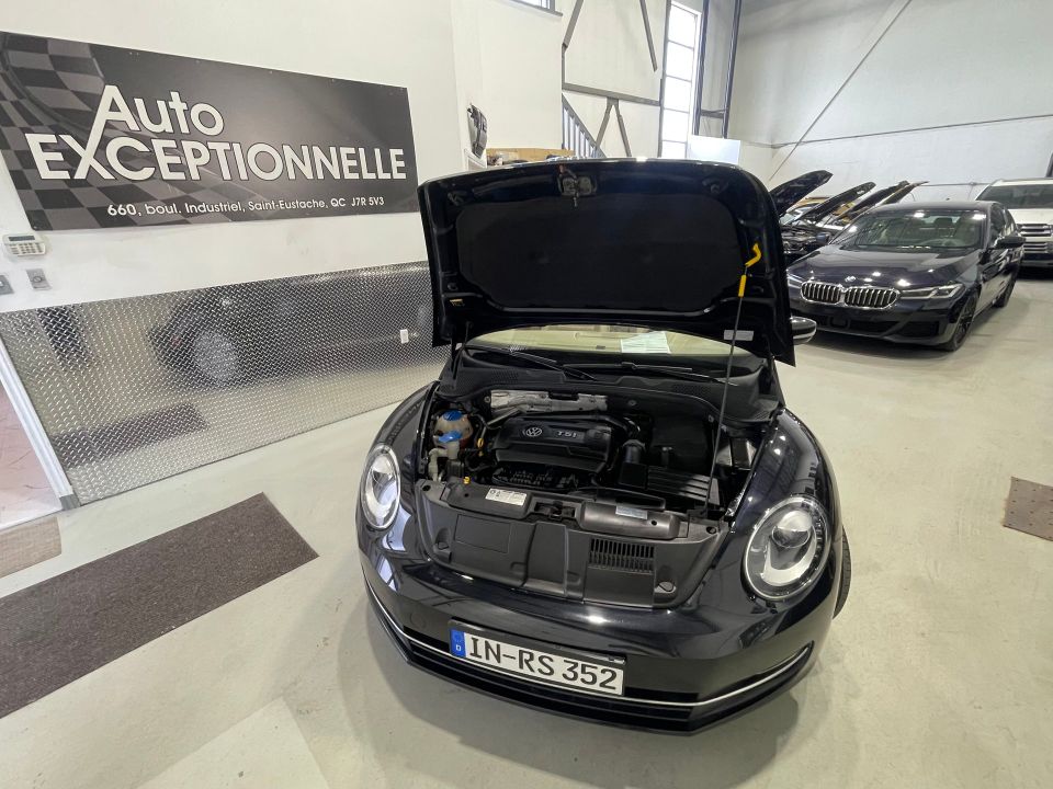 Volkswagen Beetle 2016 - Image 38